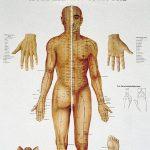 Poster Körperakupunktur 2