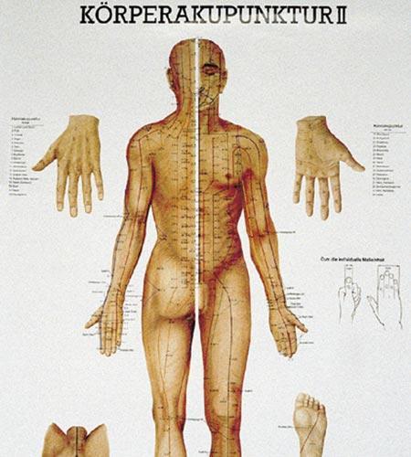 Poster Körperakupunktur 2